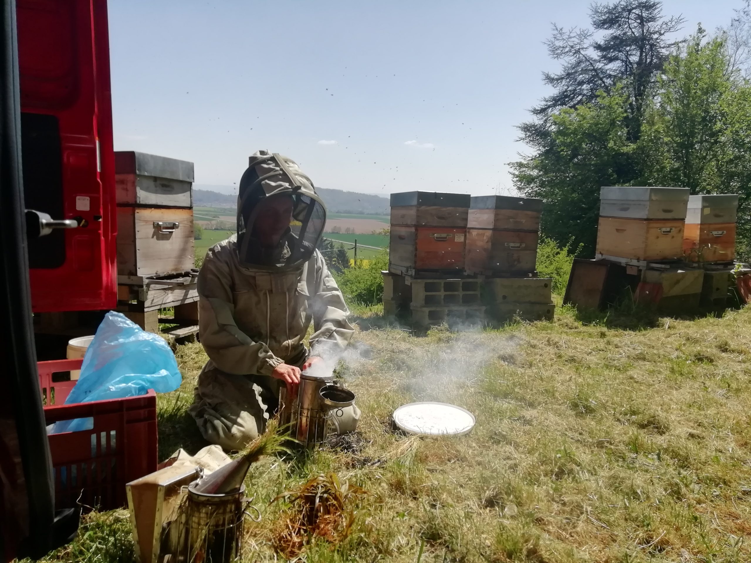 rucher_royal_ruches2